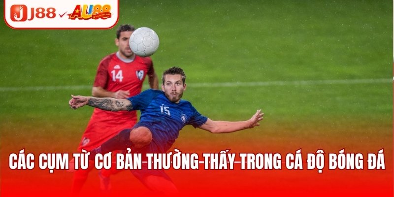 Khám Phá Thuật Ngữ Bóng Đá Dành Cho Người Mới Tại J88 3 Các cụm từ cơ bản thường thấy trong cá độ bóng đá